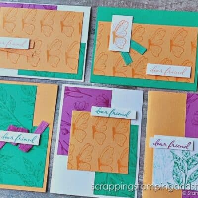 Stampin Up Spotlight On Nature & Quick Card Sets!