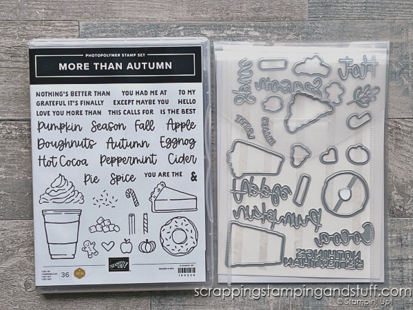 Click to see these plain and boring cards that NO ONE will like! They're so simple...but I think you'll love them. Featuring Stampin Up More Than Autumn.