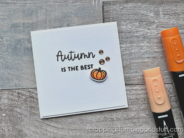 Click to see these plain and boring cards that NO ONE will like! They're so simple...but I think you'll love them. Featuring Stampin Up More Than Autumn.