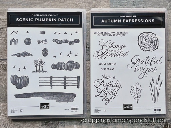 Click to see a simple scoring technique for making stunning cards! Cards feature the Stampin Up Shepherd's Care stamp set!