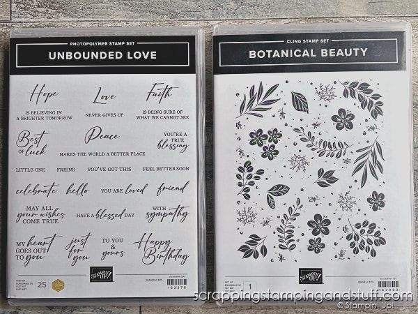 Try this gorgeous embossing technique today! Use the Stampin Up Botanical Beauty stamp, blending brushes with multiple colors of ink, and clear embossing powder for gorgeous results!